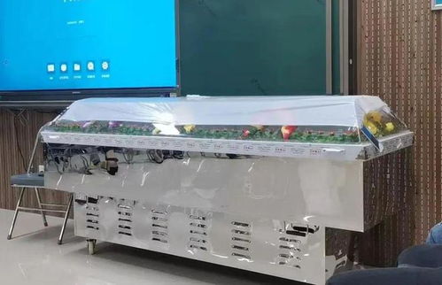 跨界融合 从殡葬专业到计算机批发，胆识铺就多元职业路